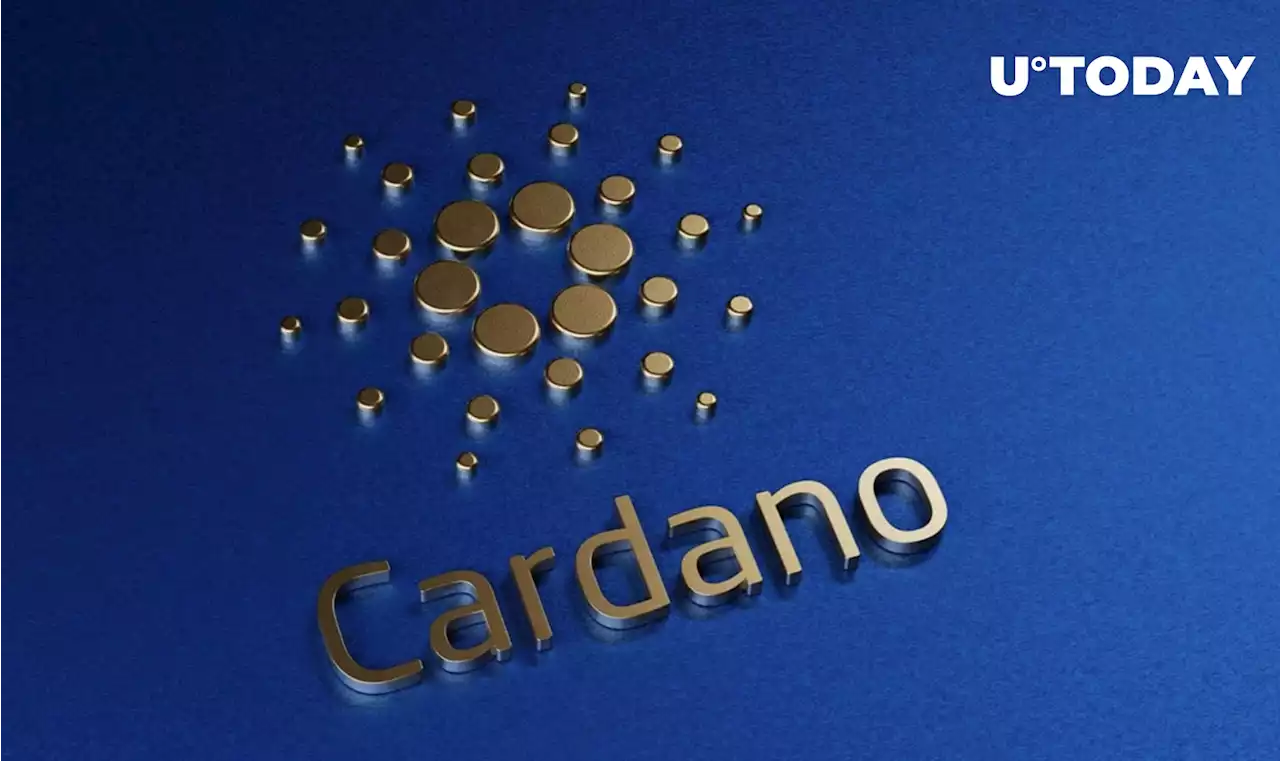 Cardano DeFi Boom Results in More Than 2 Million Transactions in Less Than a Month