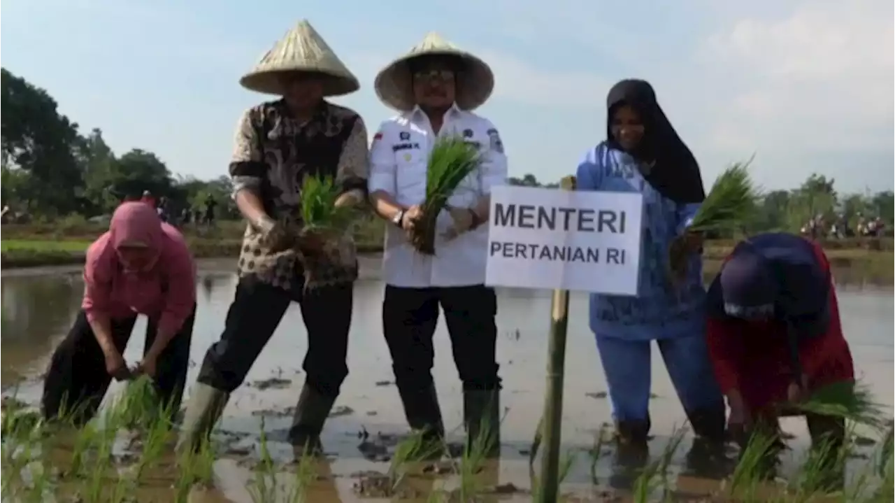 Ini Pesan Syahrul YL Dalam Mempersiapkan Diri Saat Krisis Pangan dan Kemarau Panjang Melanda Dunia