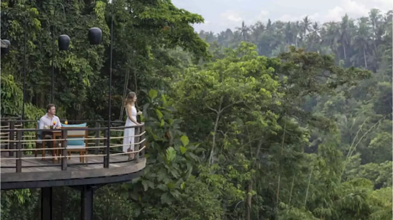 Resor di Ubud dengan Suasana Alam Sunyi, Cocok Buat Bulan Madu