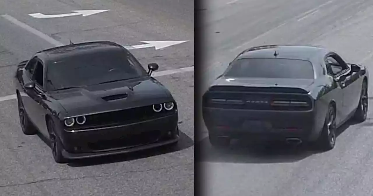 Cleveland Police looking for Dodge Challenger following hit-skip crash involving bicyclist