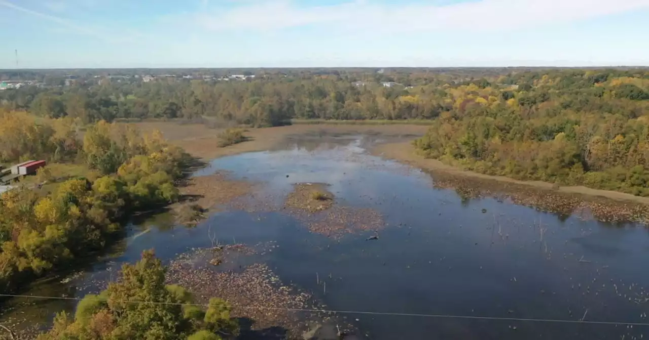 U.S. Supreme Court decision will end federal protections for most Indiana wetlands