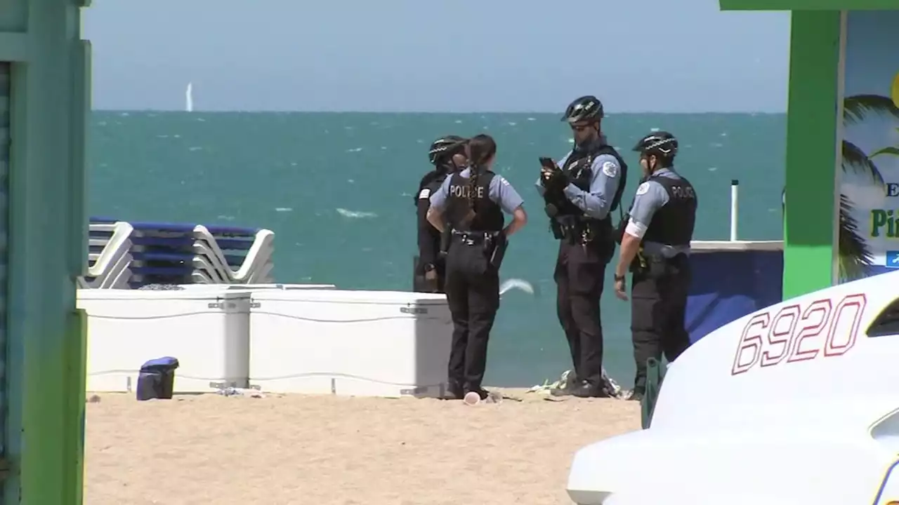 North Avenue Beach reopens after fight and shots fired; teen charged, police say