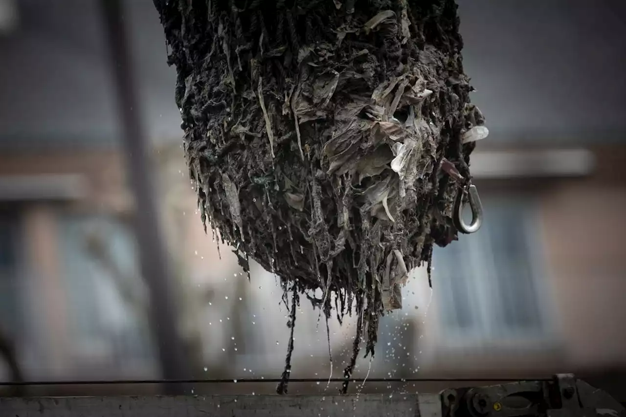 Le long de la Seine, l'étonnant périple des déchets plastiques