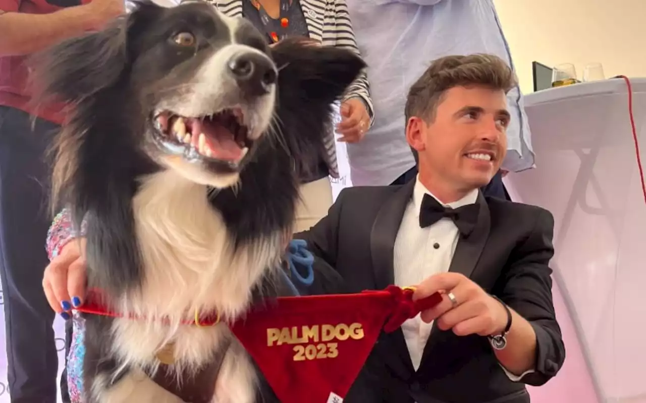 Messi, perrito de 'Anatomía de una caída' gana la Palm Dog en Cannes