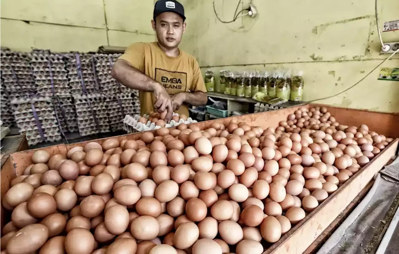 Imbas Harga Telur Naik, Penjual Pancake Keluhkan Omzet Menurun