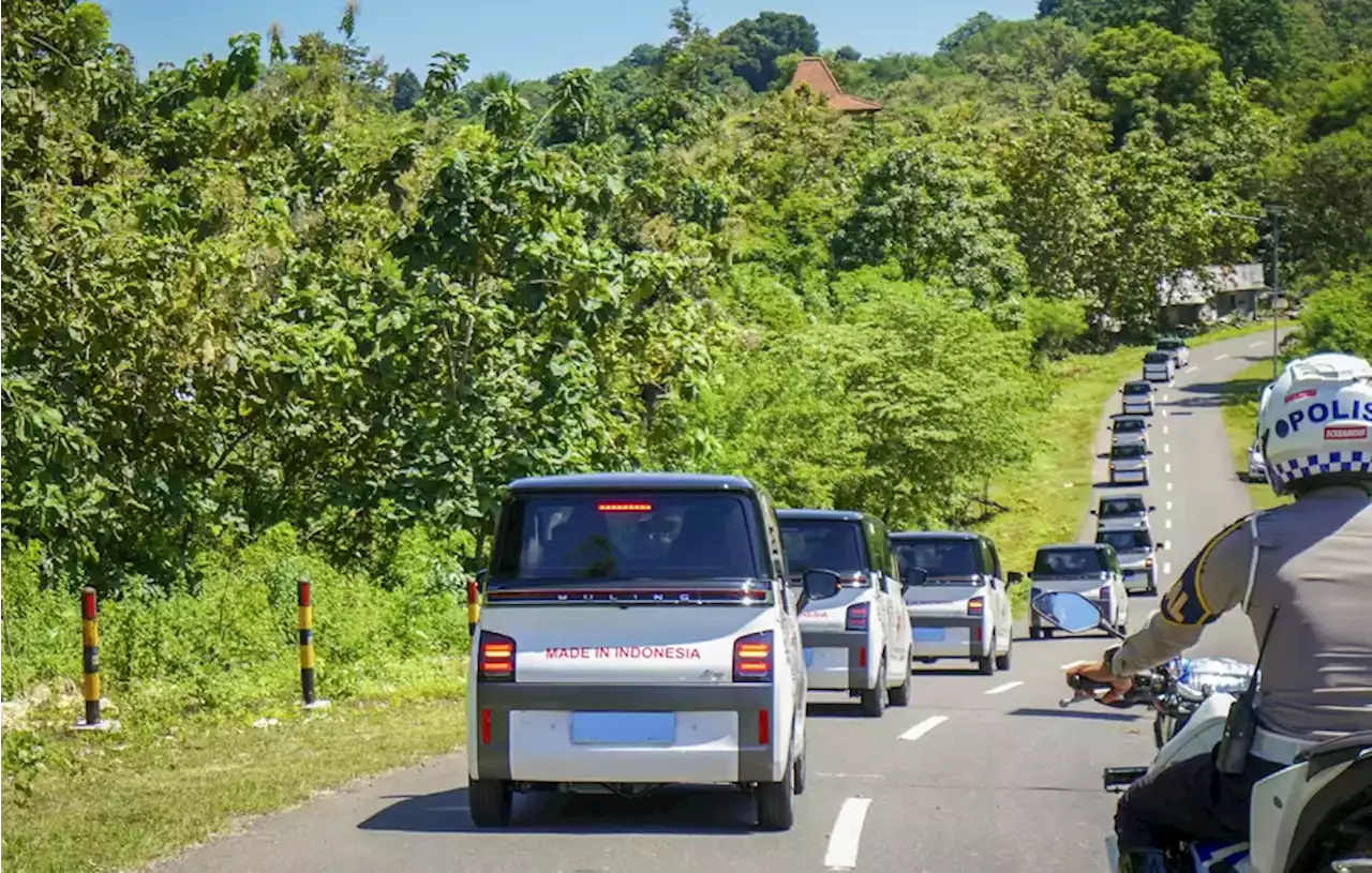 Kendaraan Listrik Dianggap Tidak Penting, Ini Kata Luhut