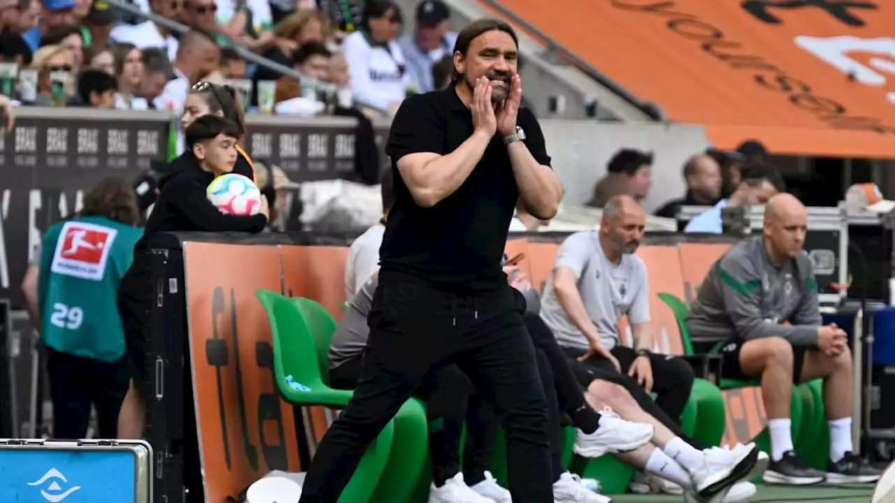 Bundesliga: Eiertanz bei Gladbach um Aus von Trainer Daniel Farke geht weiter