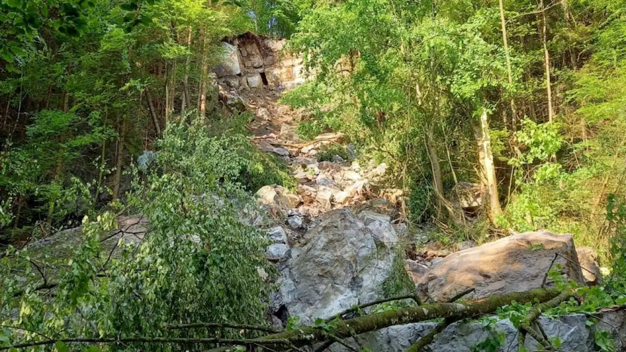 500 bis 1000 Kubikmeter Fels stürzten in Glarus in Wald ab