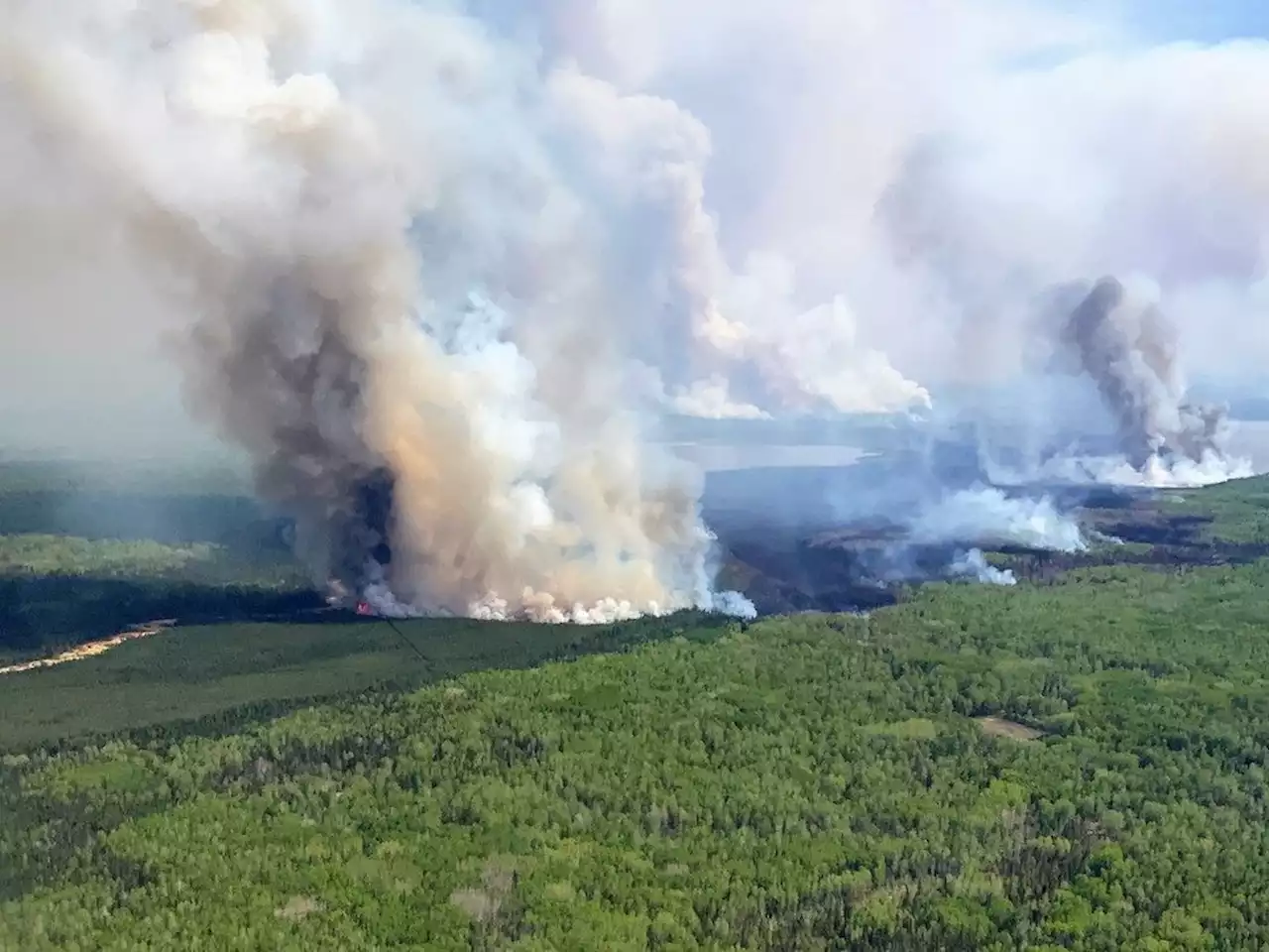 Varcoe: Fox Creek business operators show resiliency as town reopens after wildfires