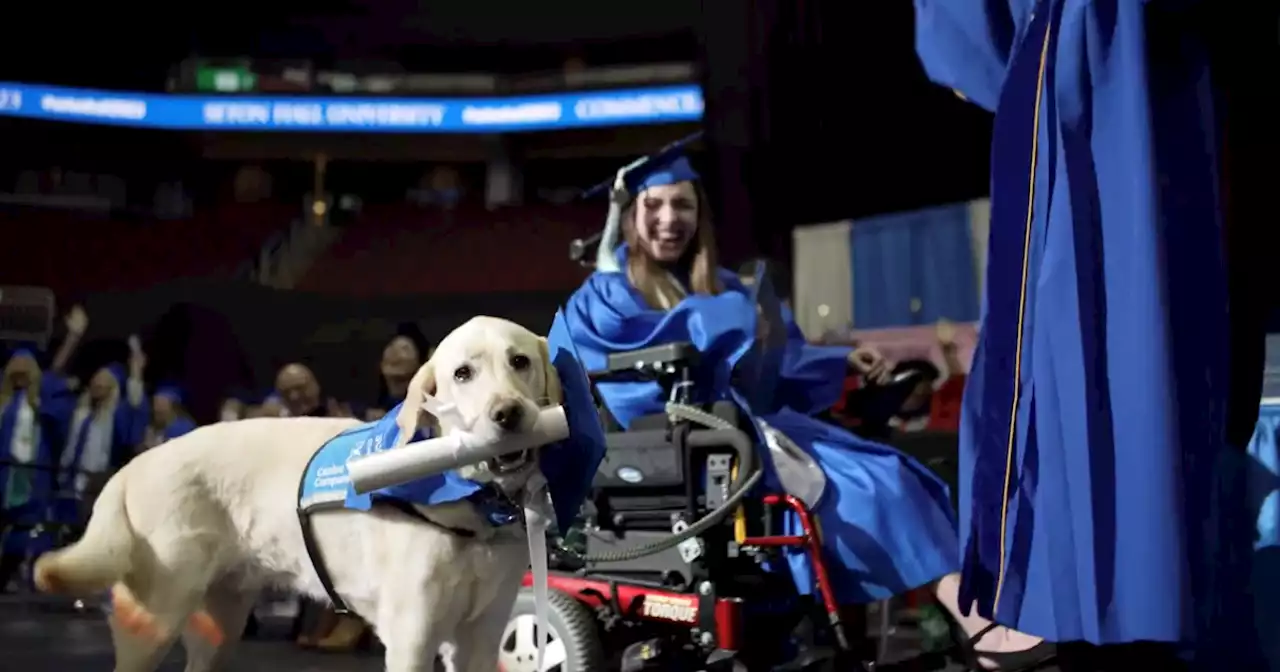 Service dog receives diploma with owner at New Jersey college graduation