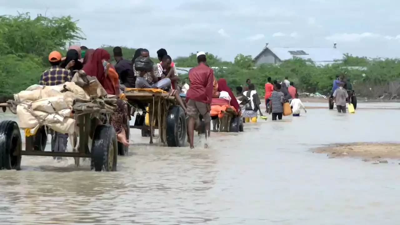 Inside Dadaab: life in one of the world’s largest refugee camps