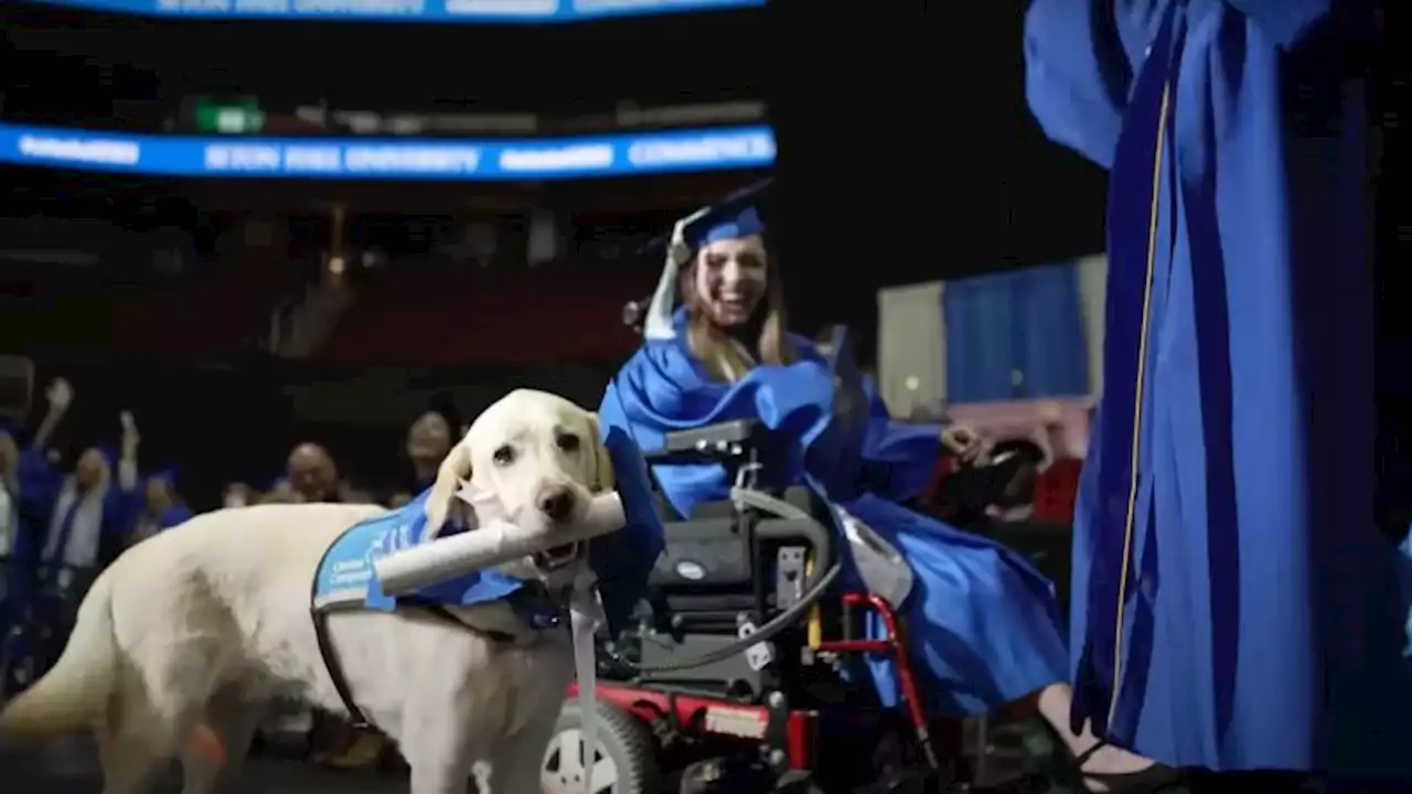 Student's service dog receives diploma at New Jersey graduation ceremony | CNN