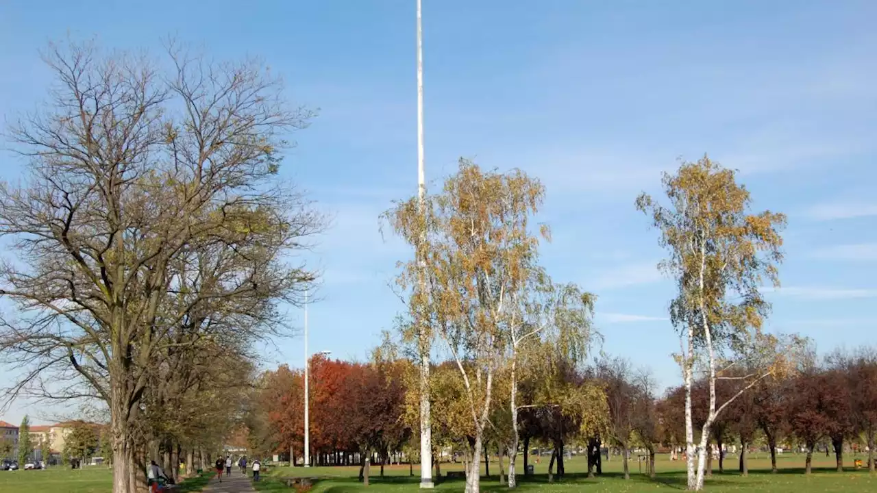 Stupro a Milano, americana di 27 anni soccorsa a Bonola. Aggredita al parco di Trenno, fugge dall'ospedale. Caccia all'aggressore