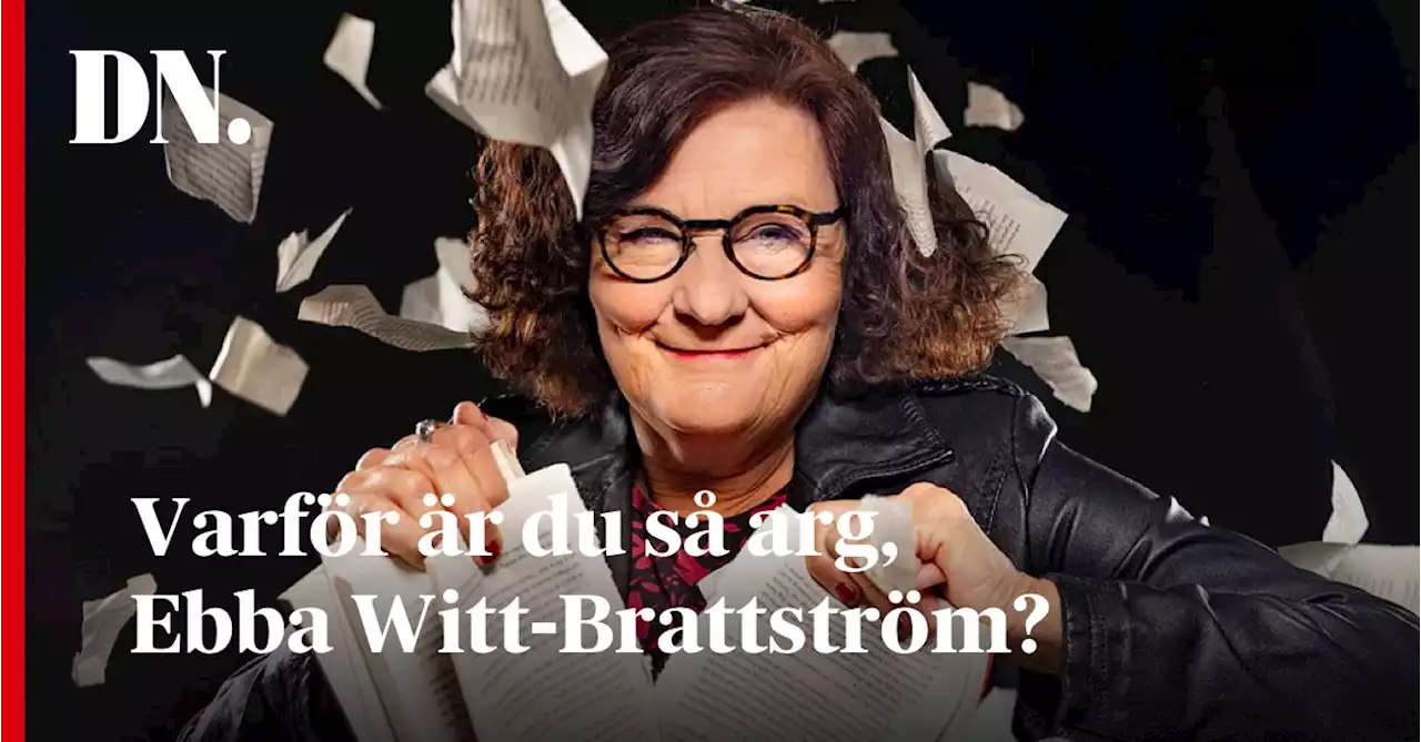 Varför är du så arg, Ebba Witt-Brattström?