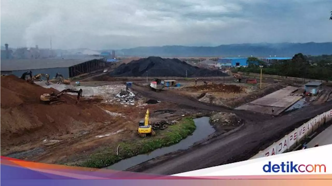 Pemerintah Akui Investor Asing Kuasai Industri Tambang RI, Kok Bisa?