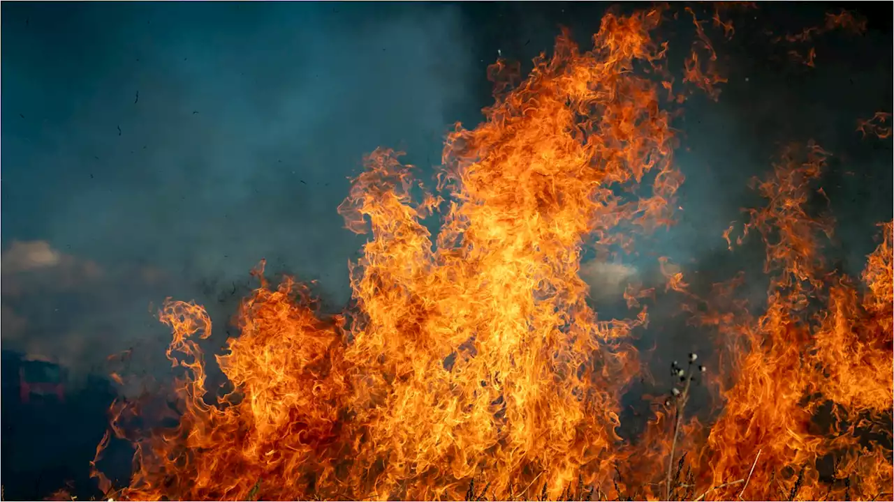 Incendio forestal estaría afectando reserva natural en Providencia