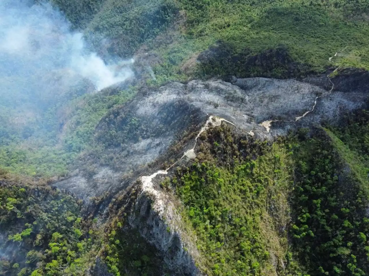 Alerta en Providencia por incendio en The Peak, corazón de la biodiversidad de la isla