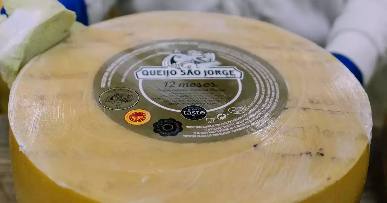 O Queijo de São Jorge vive de história, técnica e cura