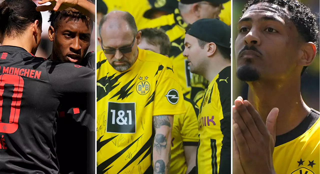 Bayern tyska mästare efter galet drama - Dortmund kollapsade