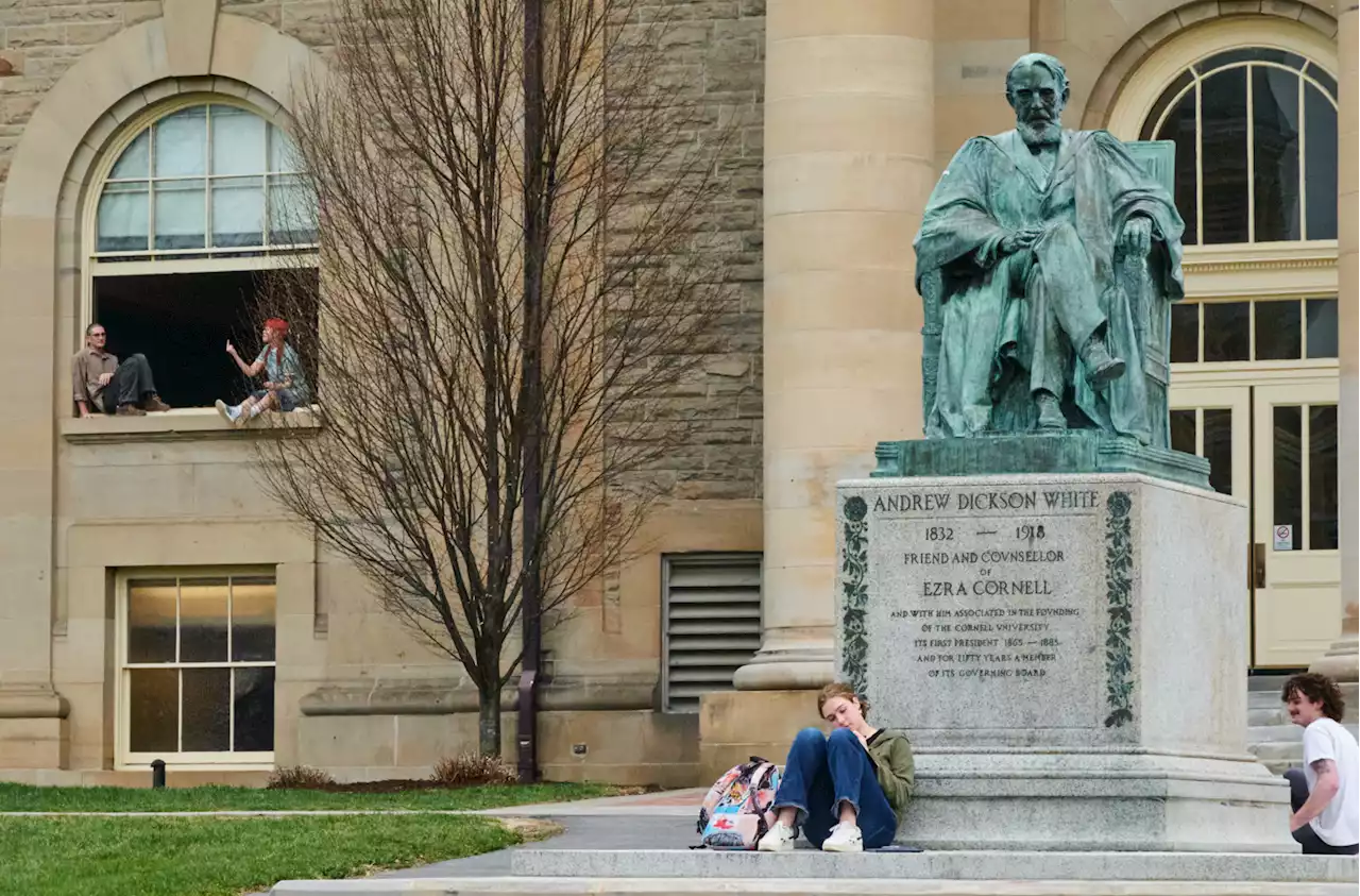 Cornell medical school offering free anti-racism course, helps students apologize for old social media posts