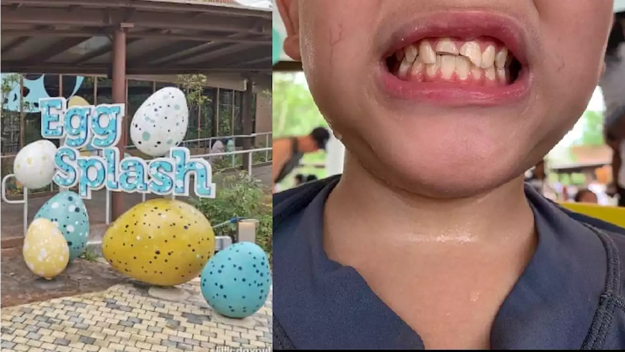 Bird Paradise closes 'Egg Splash' after boy breaks two teeth at water playground - Singapore News