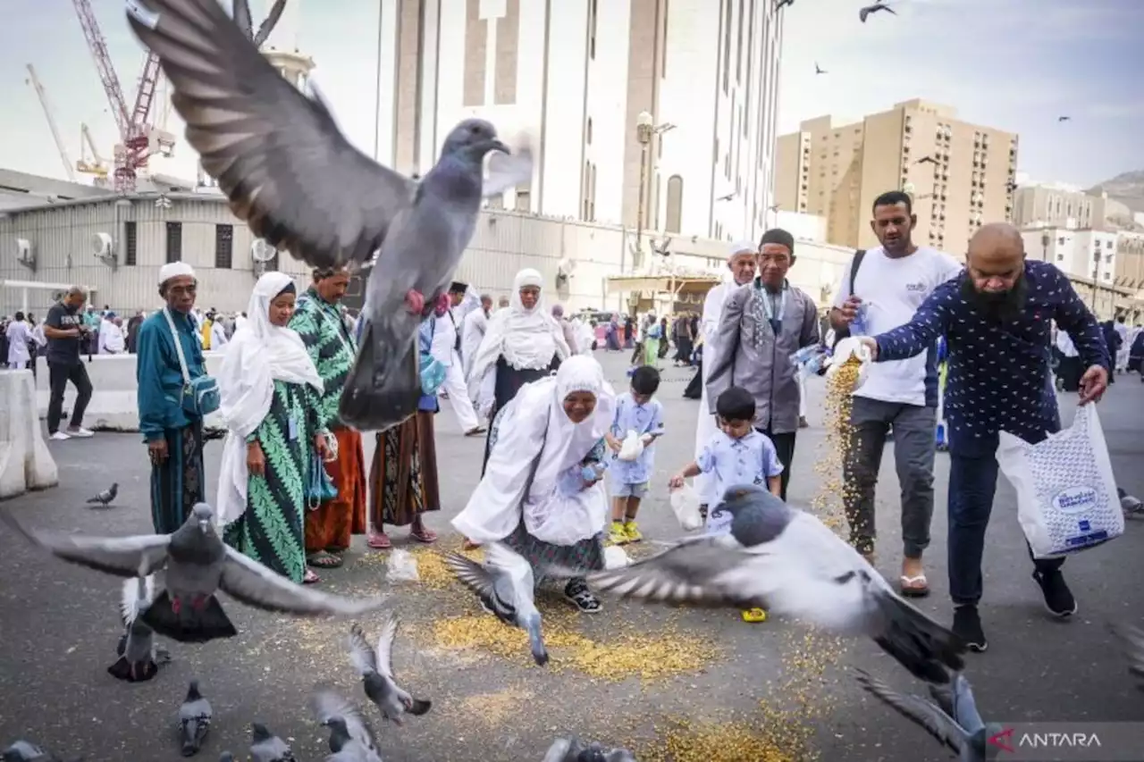 Beginilah Akomodasi Jemaah Indonesia di Mekkah