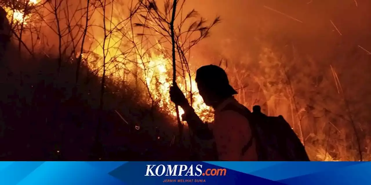 20 Hektar Lahan Ilalang dan Cemara di Gunung Arjuno-Welirang Hangus Terbakar