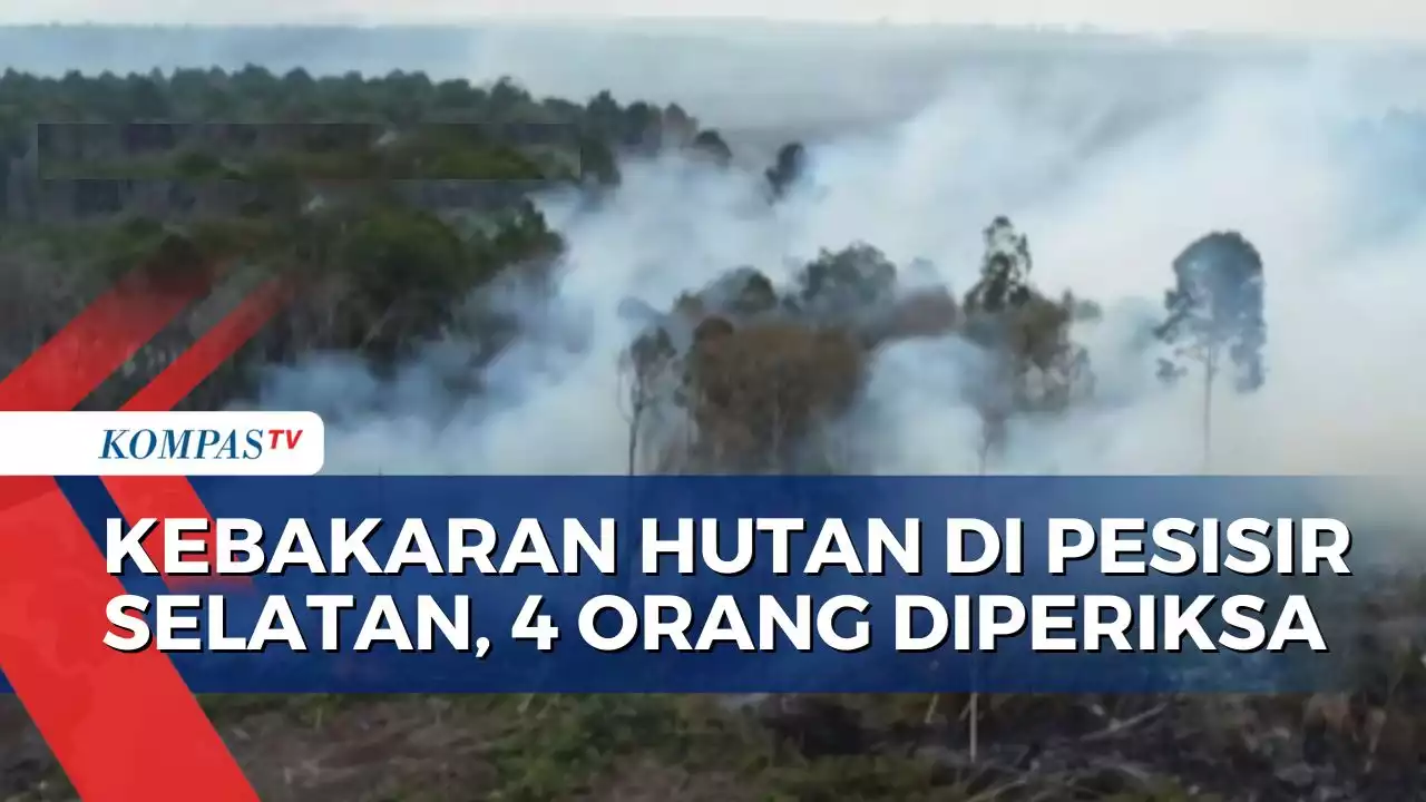 Selidiki Penyebab Kebakaran Lahan dan Hutan di Pesisir Selatan, Polisi Periksa 4 Orang Pekerja!