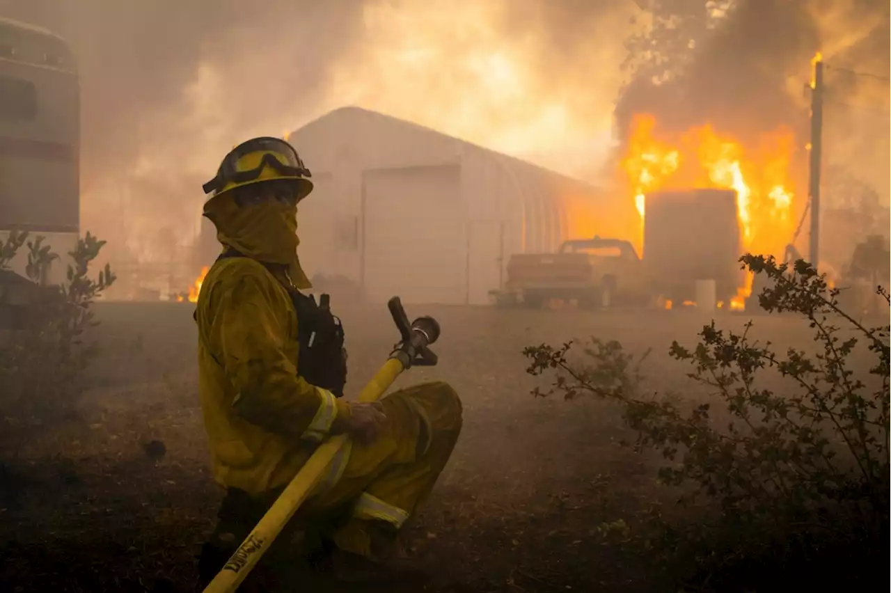 State Farm halts new property insurance policies in California