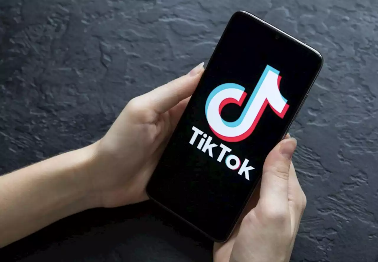 TikTok tendrá su propio chatbot y se llamará 'Tako'