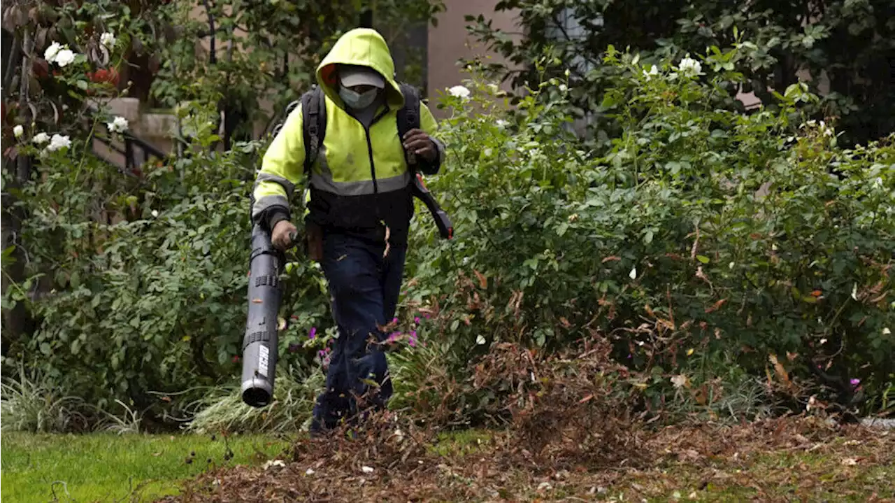 City of Seattle to phase out gas leaf blowers by 2027