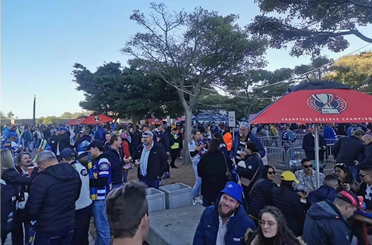 BUILD UP | URC Grand Final: Excitement mounts as fans descend on Cape Town Stadium | Sport