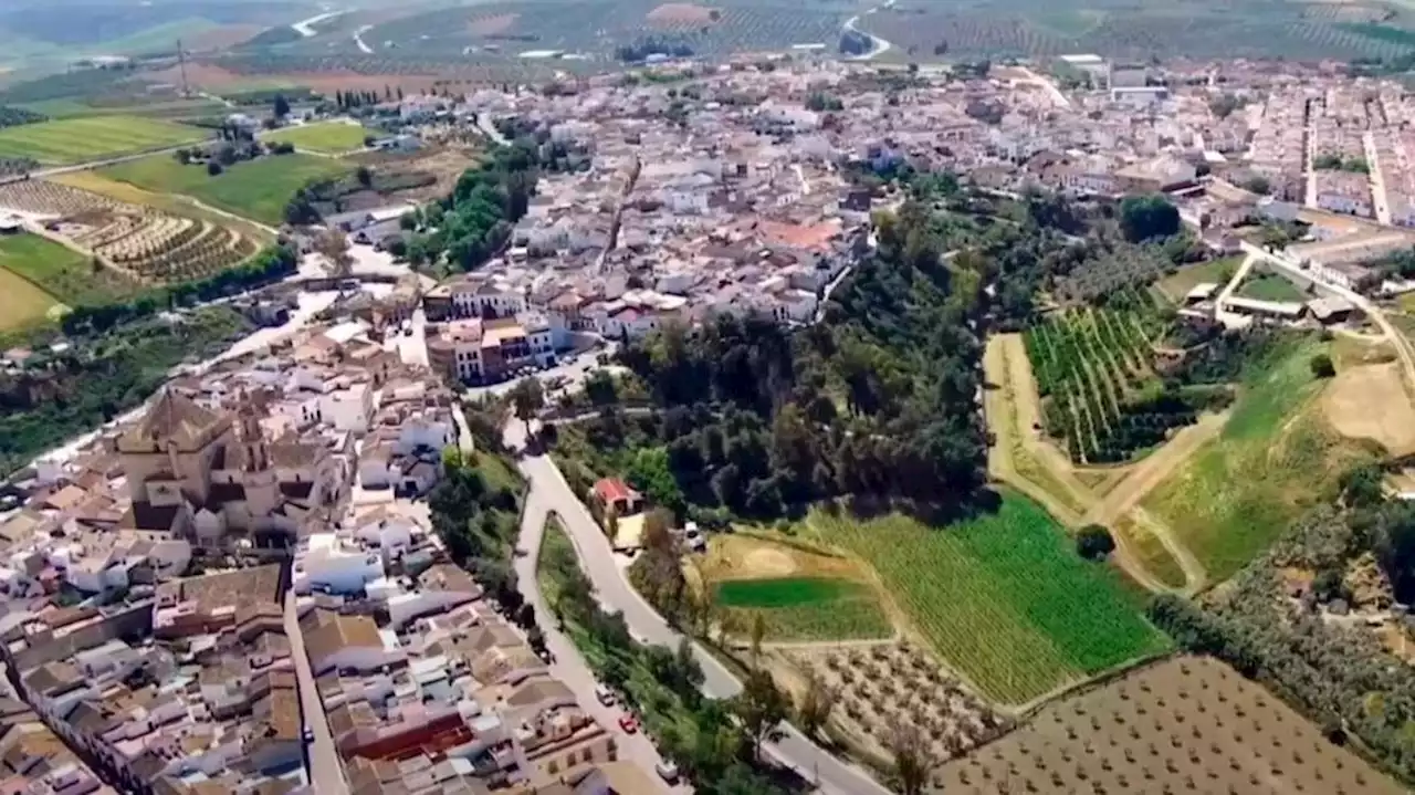 Muere un hombre de 58 años tras ser atropellado por una cosechadora en Santaella (Córdoba)