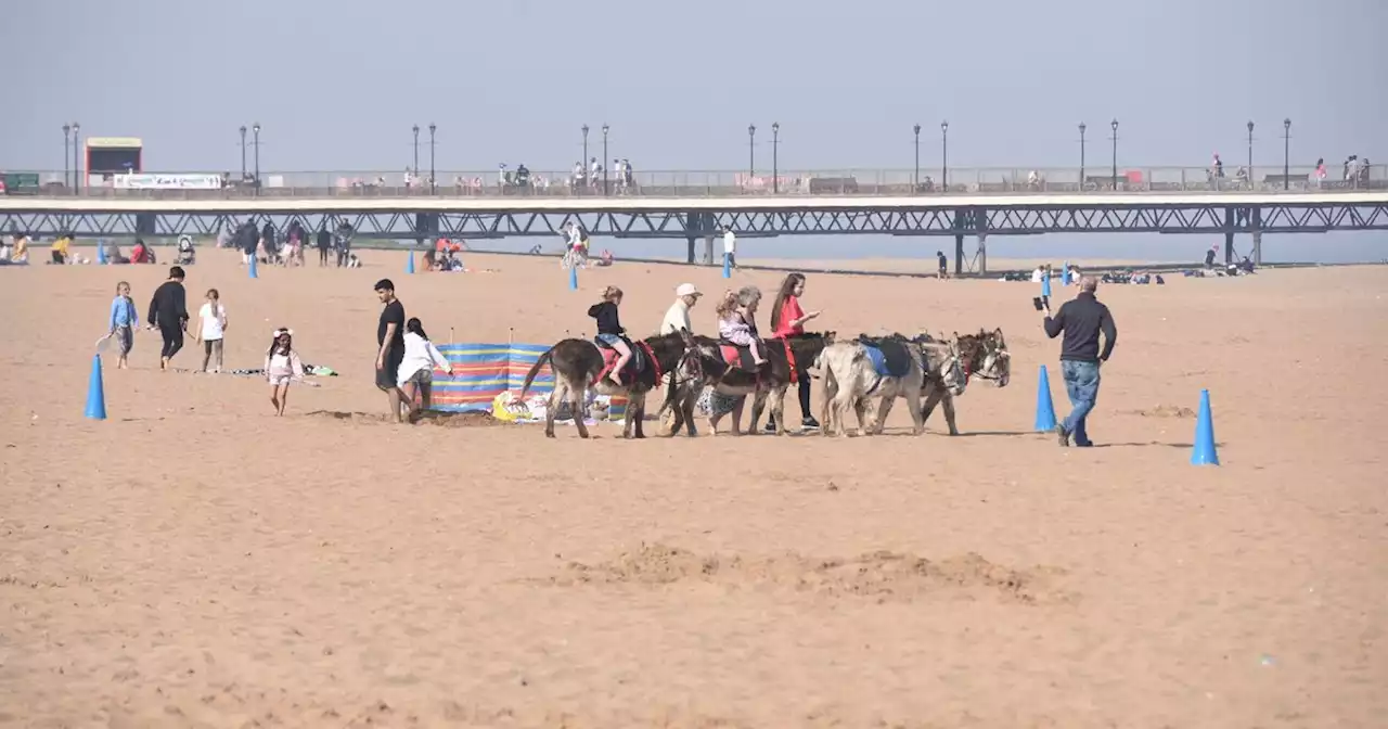 The cleanest beaches less than a two-hour drive from Notts