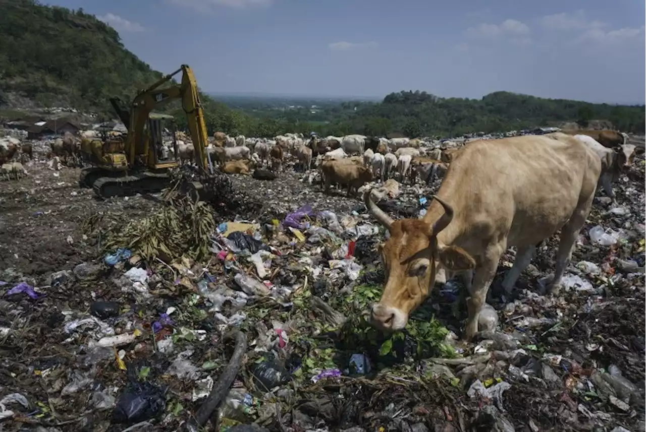 DPRD DIY tak Yakin Skema Kerja Sama Badan Usaha Tuntaskan Persoalan Sampah |Republika Online