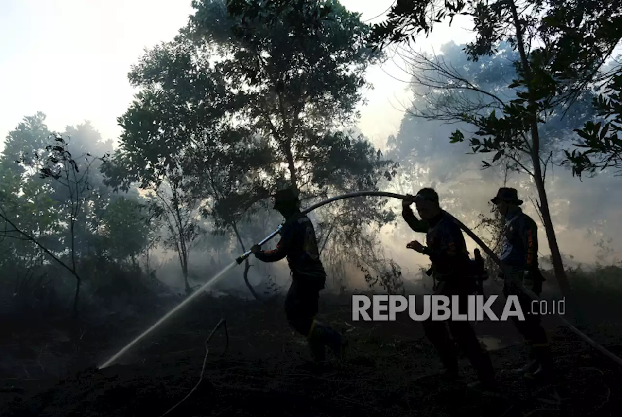 Kawasan Hutan Banyumas Barat Rawan Kebakaran, Perhutani Siapkan Antisipasi |Republika Online