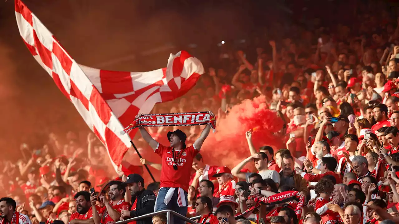 Liga Portugal: Benfica sacré champion du Portugal devant Porto