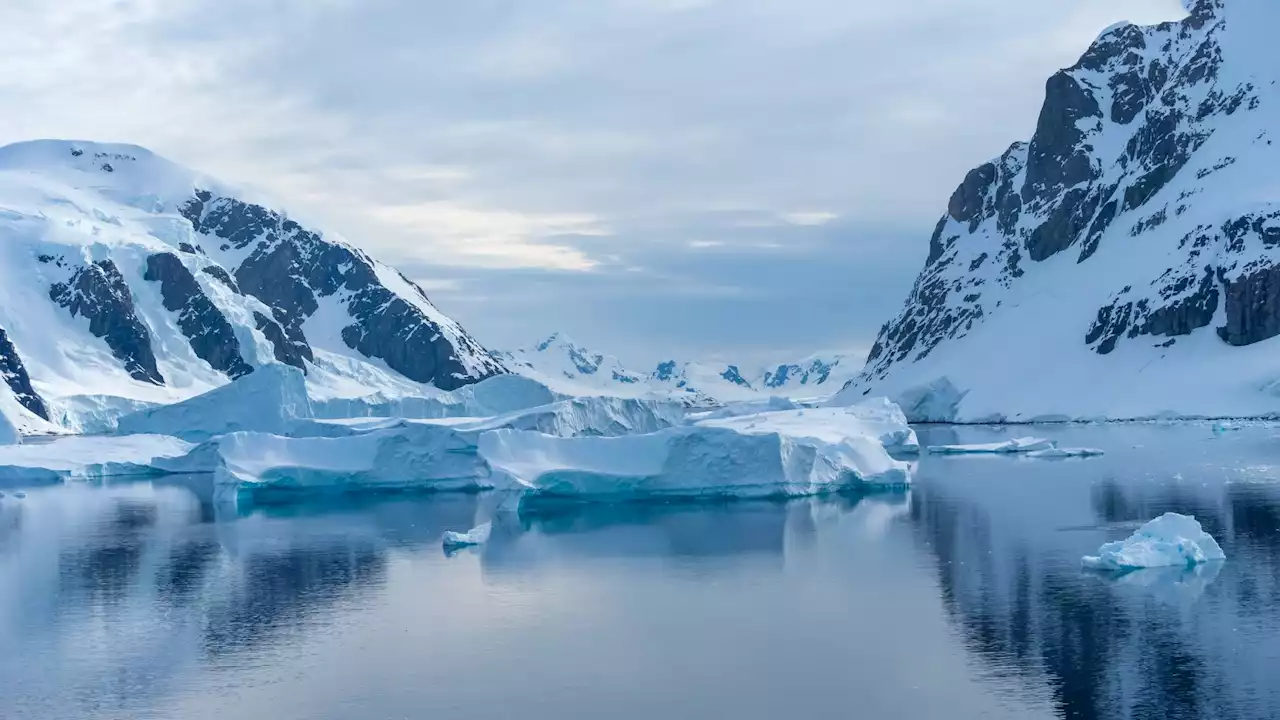 Científicos españoles hallan nicotina y antidepresivos entre los contaminantes del agua de la Antártida