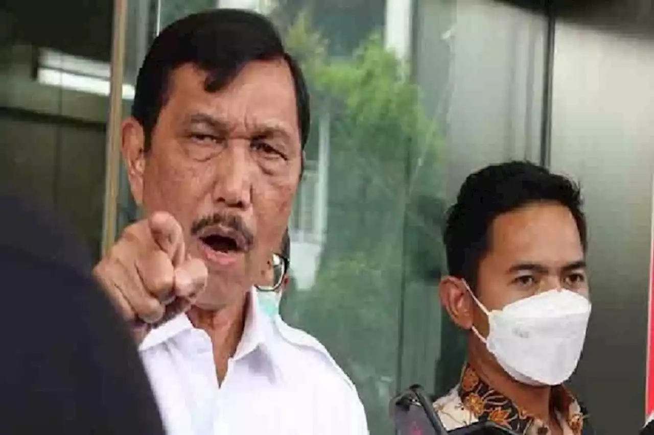 Blakblakan! Luhut Jawab Kritik Kendaraan Listrik yang Energinya dari Batu Bara