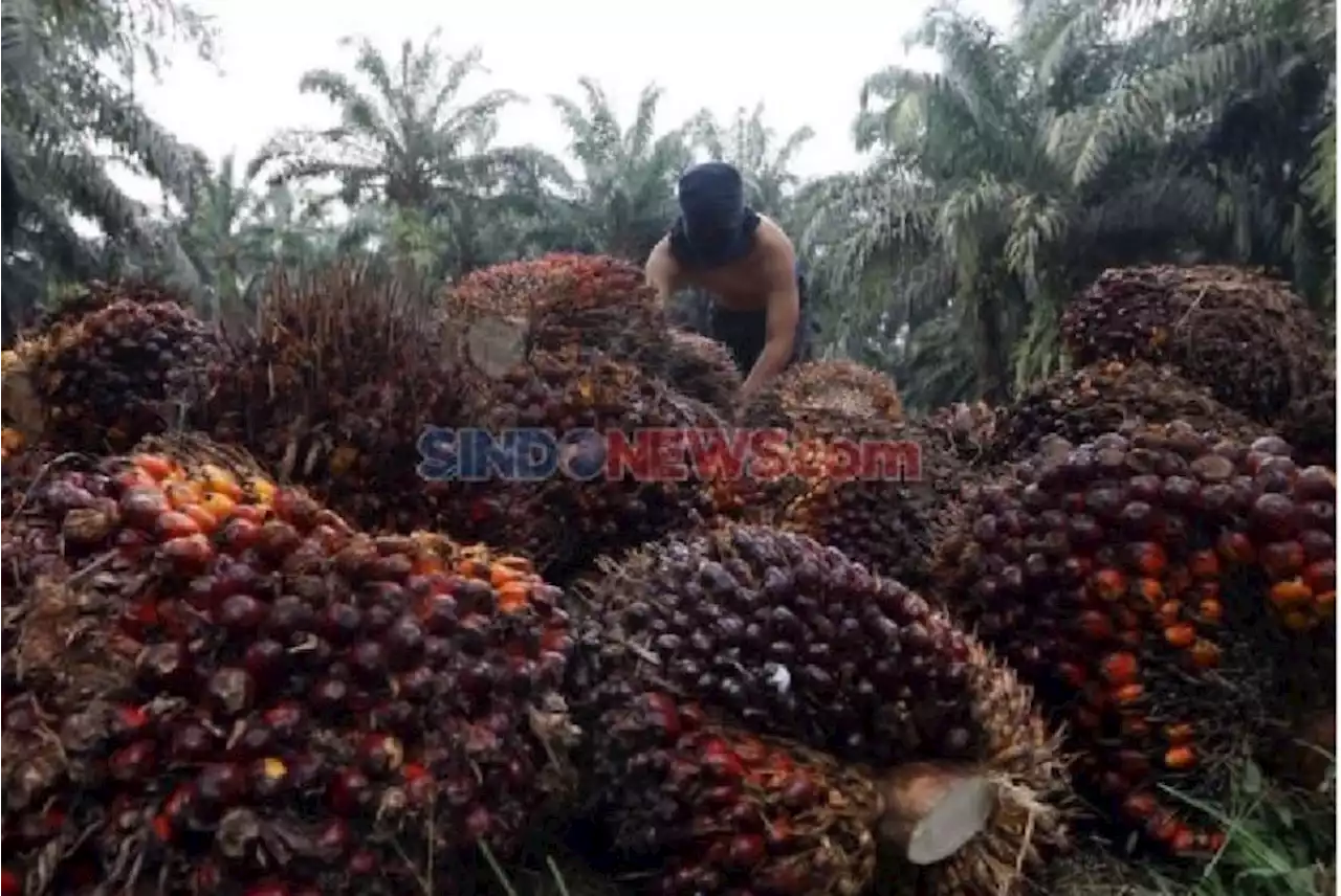 Industri Sawit Berkomitmen Dukung Program Net Zero Emission