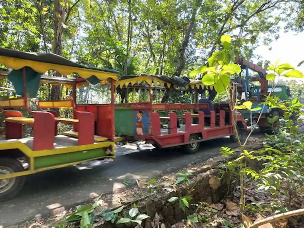 Tak Kuat Menanjak, Kereta Kelinci Berpenumpang Lansia Terguling di Bayat Klaten