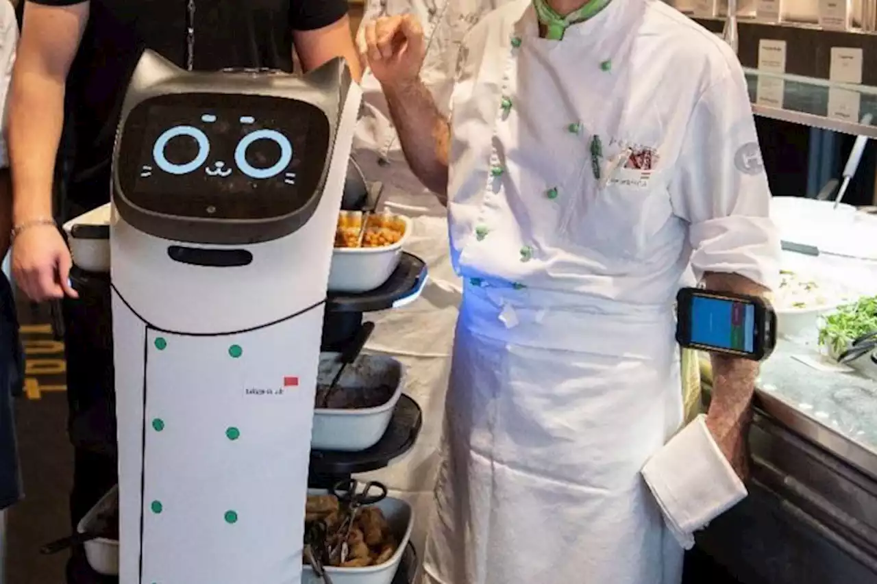 Roboter in der Gastronomie – «Billi fährt zwischen der Küche und dem Selbstbedienungsbereich hin und her»