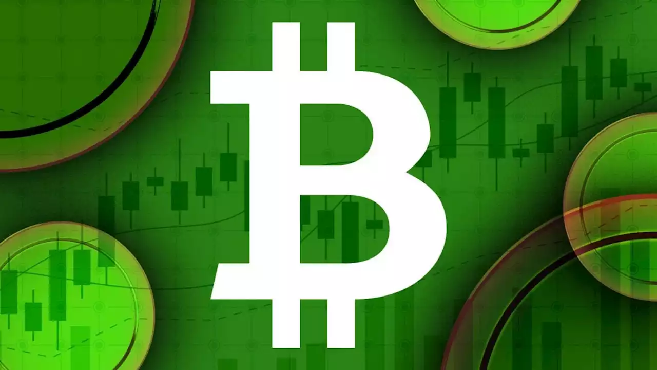 Arthur Hayes predicts volatile 2023 followed by strong bitcoin rally