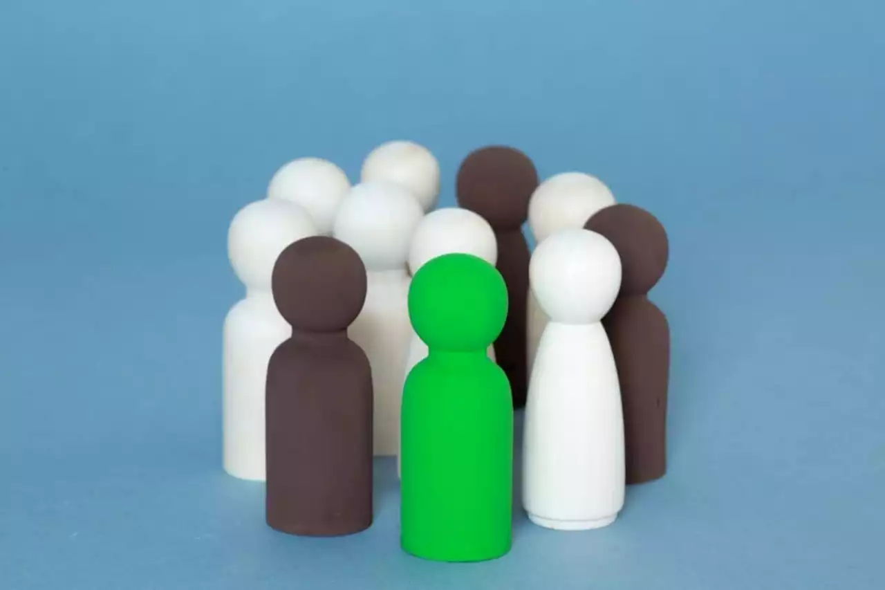 Affirmative action equals a failed state | The Citizen