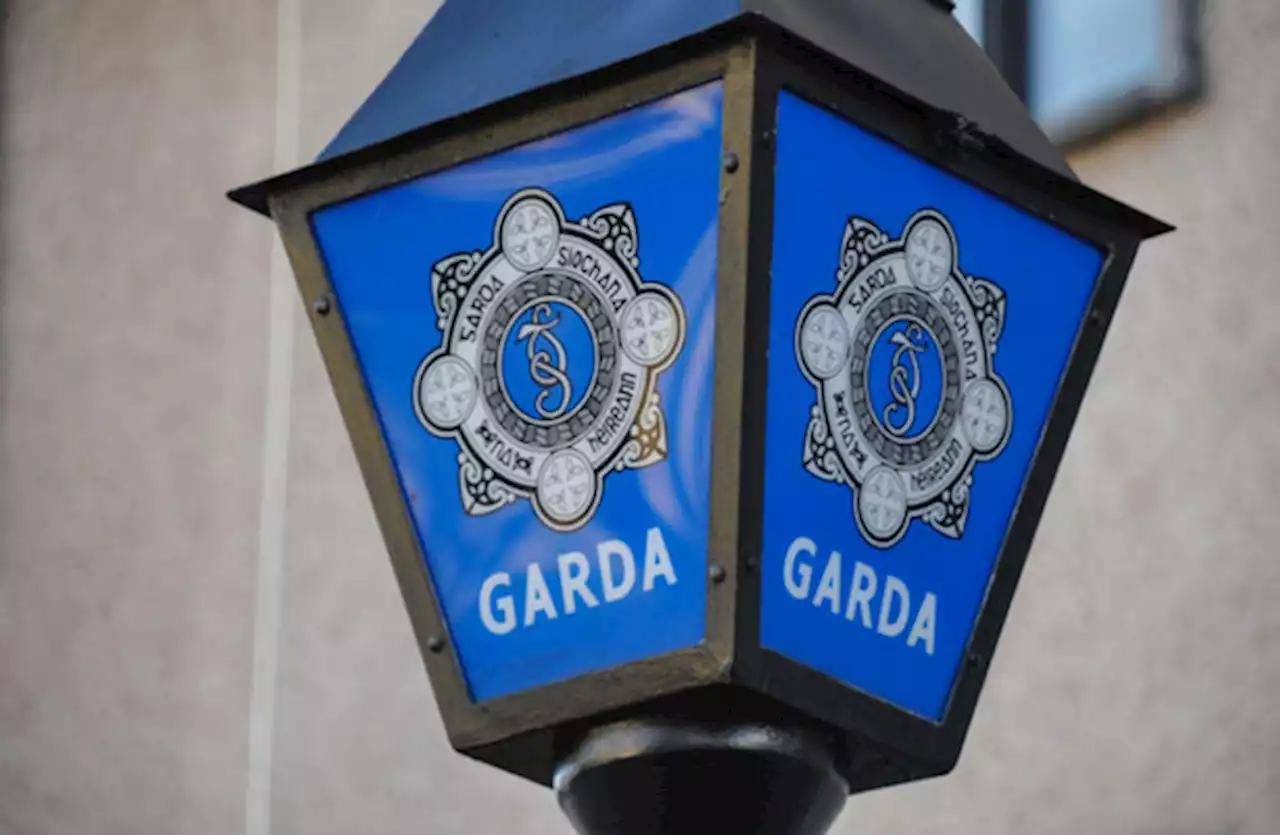 Female cyclist (20s) dies after collision with car in County Dublin