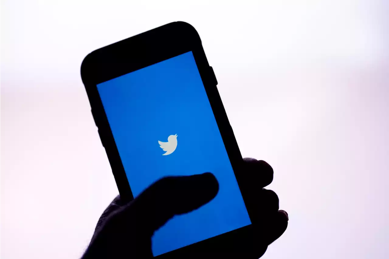 Twitter Withdraws From EU Disinformation Code: Commissioner