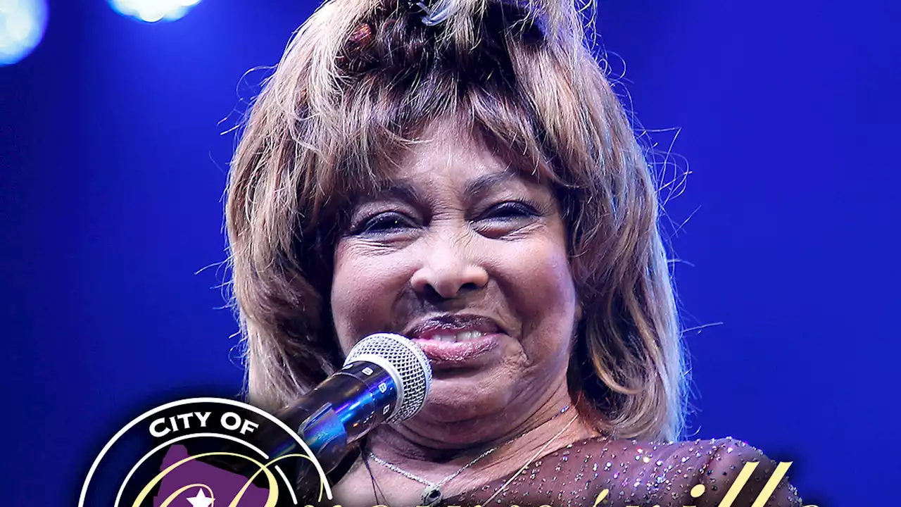 Tina Turner's Birthplace Planning to Build Statue in Her Honor