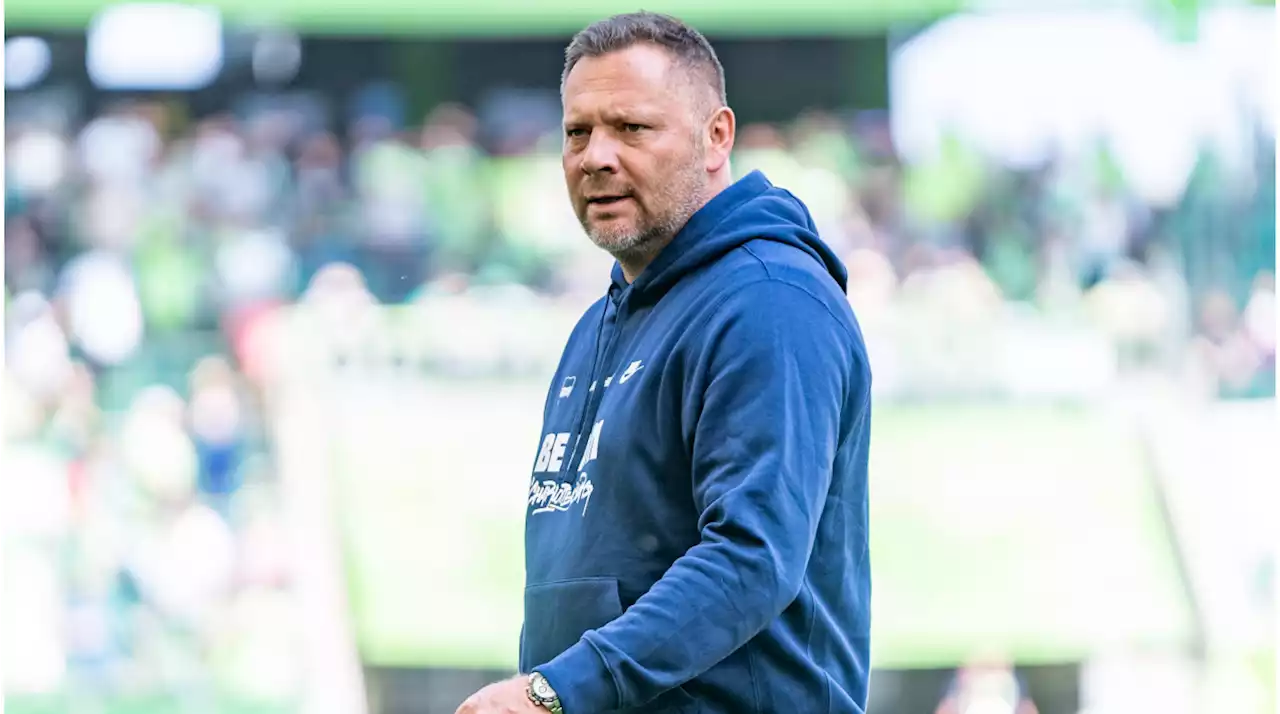 Dárdai: „Werde auf jeden Fall bei Hertha arbeiten“ – Trainer-Entscheidung nächste Woche