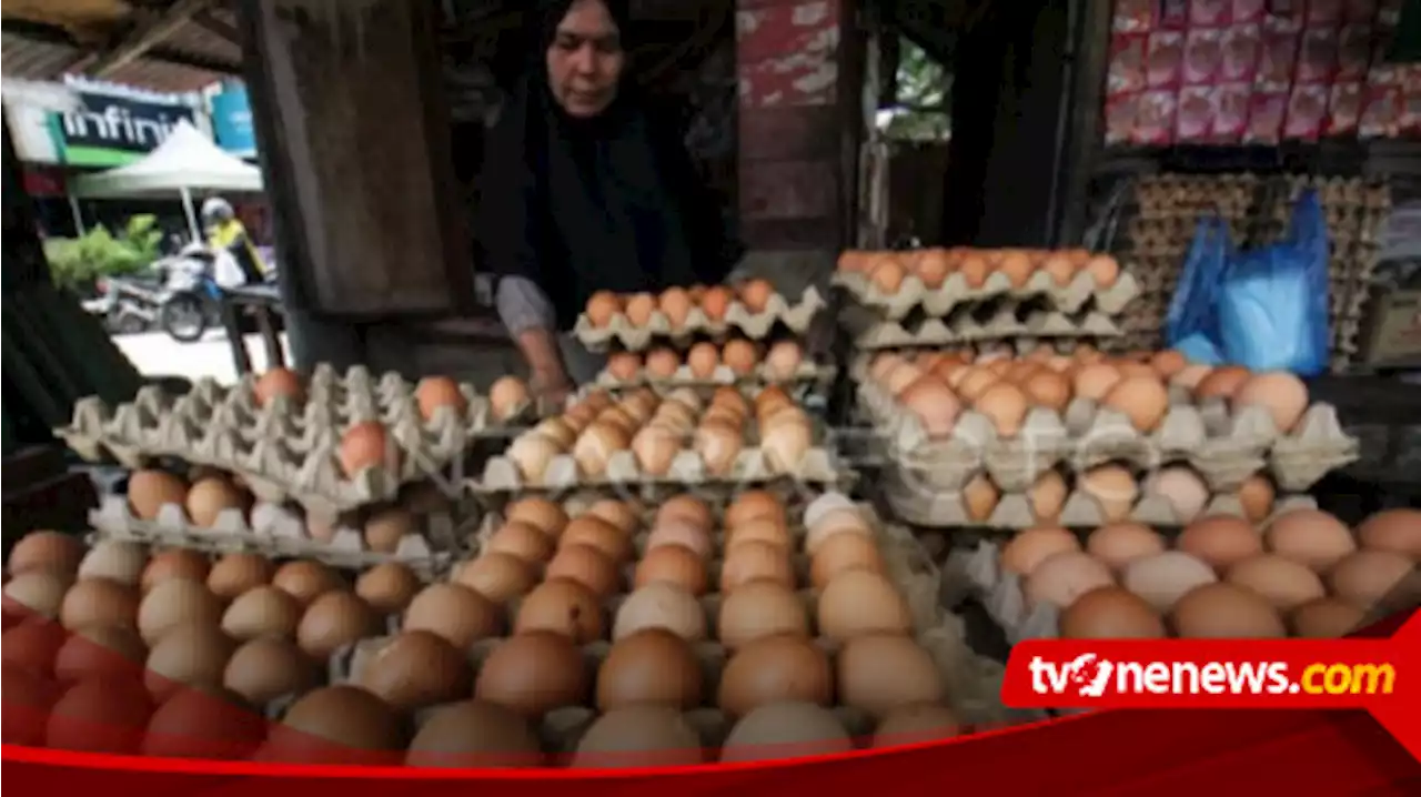 Tekan Harga Telur Ayam yang Masih Melejit, Disperindag DIY Intensifkan Operasi Pasar