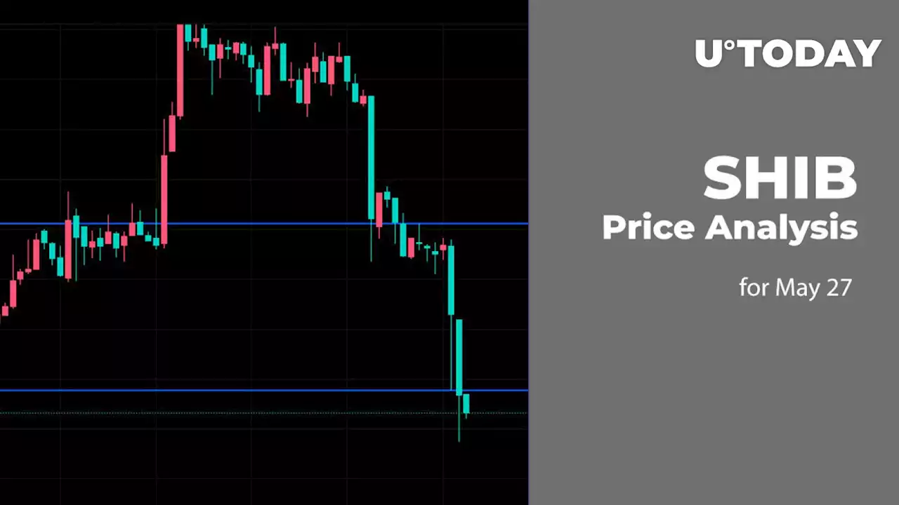 SHIB Price Analysis for May 27